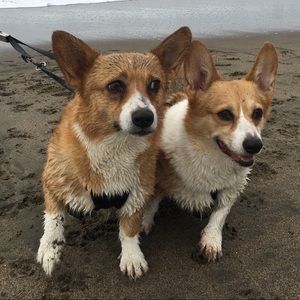 An online garage sale